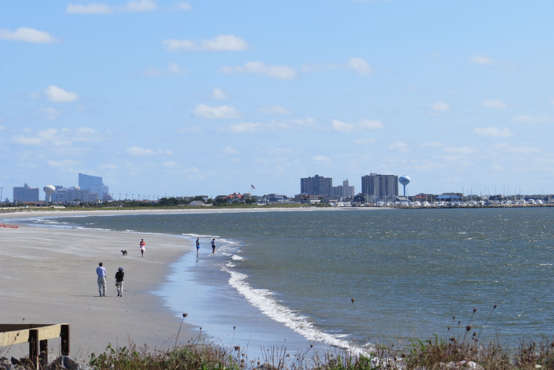100816_urg_cdb_dogbeach (15).JPG